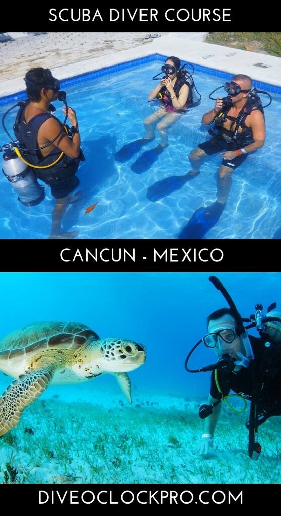 scuba diving in cancun padi